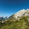 SkiWelt Wilder Kaiser-Brixental  - Ferienwohnung Springer