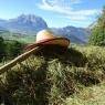 Schladming-Dachstein - Thonnerhof - Familie Schmalengruber