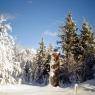 SkiWelt Wilder Kaiser-Brixental  - Ferienwohnungen Saghäusl - Michaela Gruber