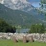 SkiWelt Wilder Kaiser-Brixental  - Appartement Seespitz