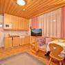 SkiWelt Wilder Kaiser-Brixental  - Appartements Daniel
