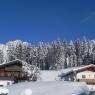 SkiWelt Wilder Kaiser-Brixental  - Appartement Riedling