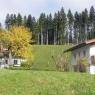 SkiWelt Wilder Kaiser-Brixental  - Appartement Riedling