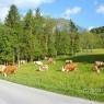 Schladming-Dachstein - Erich und Christine Pretscherer