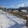 SkiWelt Wilder Kaiser-Brixental  - Appartement Viktoria