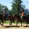 Schladming-Dachstein - Hotel Breilerhof