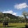 Schladming-Dachstein - Weitgasserhof
