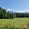 SkiWelt Wilder Kaiser-Brixental  - Rettensteinhof