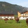 Schladming-Dachstein - Oberzauner