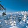 Schladming-Dachstein - Haus Emily