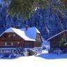 Schladming-Dachstein - Hirzhof