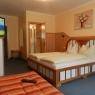 Schladming-Dachstein - Hotel Garni Erlbacher