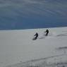 Schladming-Dachstein - Moserhof