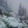 Schladming-Dachstein - Kaltenbachalm