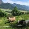 Schladming-Dachstein - Ferienhaus Schwab Brunner