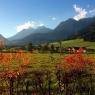 Schladming-Dachstein - Haus Bergland