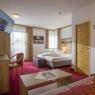 SkiWelt Wilder Kaiser-Brixental  - Hotel Alpin