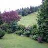 Schladming-Dachstein - Bio-Landhaus Kesslerhof