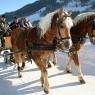 Schladming-Dachstein - Pension Mitterwallner