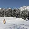 SkiWelt Wilder Kaiser-Brixental  - Die Rifflerin
