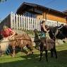 Schladming-Dachstein - Abelhof