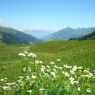 Adelboden - Huus Horbütze