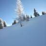 Schladming-Dachstein - Appartement Helga