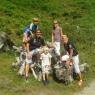 Schladming-Dachstein - Haus Kraml Silvia