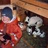 Schladming-Dachstein - Erich und Christine Pretscherer