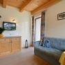 SkiWelt Wilder Kaiser-Brixental  - Moser, Appartements