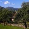 Schladming-Dachstein - Appartement Köll