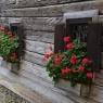 Schladming-Dachstein - Gasthof 