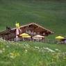 SkiWelt Wilder Kaiser-Brixental  - Gästehaus u. Bauernhaus Salvenalm