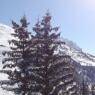 Meribel Mottaret - Residencia Carlines I - 3PIE 6/7P 60M² S/E 1°ET/*