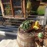 Schladming-Dachstein - Urlaub im Stall