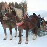 Schladming-Dachstein - Ferienhaus Stoiser