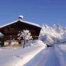 SkiWelt Wilder Kaiser-Brixental  - Stadlhof