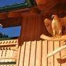 Schladming-Dachstein - Steirerhaus Reith