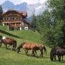 Schladming-Dachstein - Bankwirt