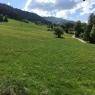 SkiWelt Wilder Kaiser-Brixental  - Appartement Ruhstatt