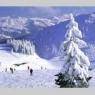 SkiWelt Wilder Kaiser-Brixental  - Berggasthof Bärnstatt