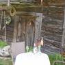 SkiWelt Wilder Kaiser-Brixental  - Biobauernhof Enting