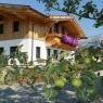 SkiWelt Wilder Kaiser-Brixental  - Appartement Oberleiten