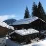 Schladming-Dachstein - Pension Arnika