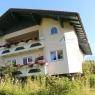 Schladming-Dachstein - Alpenblume