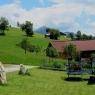 SkiWelt Wilder Kaiser-Brixental  - Fuchsbauer - Appartement Misslinger