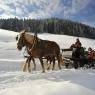 SkiWelt Wilder Kaiser-Brixental  - Erbhof Achrainer-Moosen