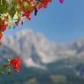 SkiWelt Wilder Kaiser-Brixental  - Pension Mirabelle