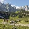 SkiWelt Wilder Kaiser-Brixental  - Landhaus Seerose
