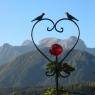 Schladming-Dachstein - Appartement Buchsteiner